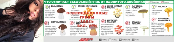 apvp Покровск