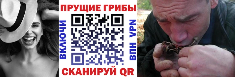 Псилоцибиновые грибы прущие грибы  цены   Петровск 